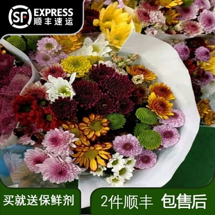 小雏菊小菊鲜花一扎直批新鲜纽扣菊云南家用水养花切花插花直发