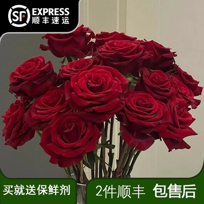 红玫瑰云南昆明鲜花基地直发玫瑰花水养鲜切花花材直批发家用插花