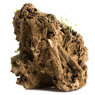 天然精品吸水石上水石原石假山盆景微景观造景装饰小石头流水摆件