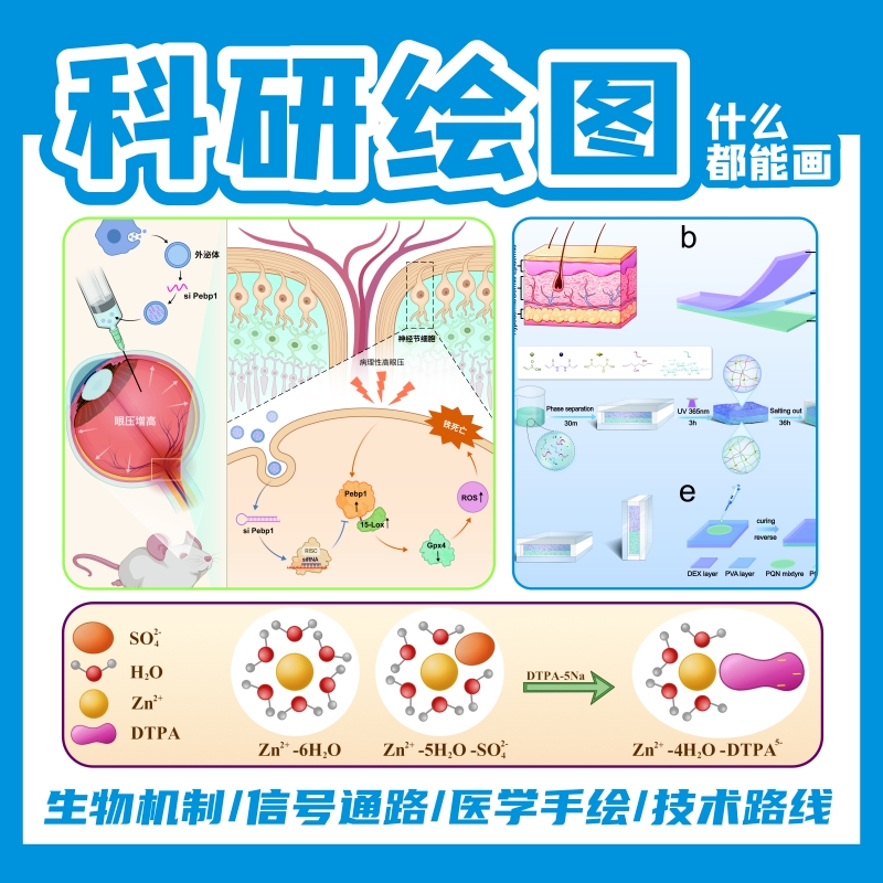 流程示意图机理机制图科研绘图技术路线图医学图插画素材美化制作