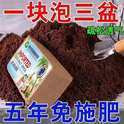 澳洲进口椰砖种菜通用阳台种植蔬菜养花压缩营养土椰砖植物通用型