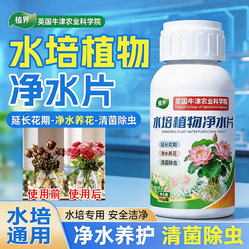 英国水培净水片除臭杀菌除虫鲜花保鲜剂除藻专用平板拖把净化水质