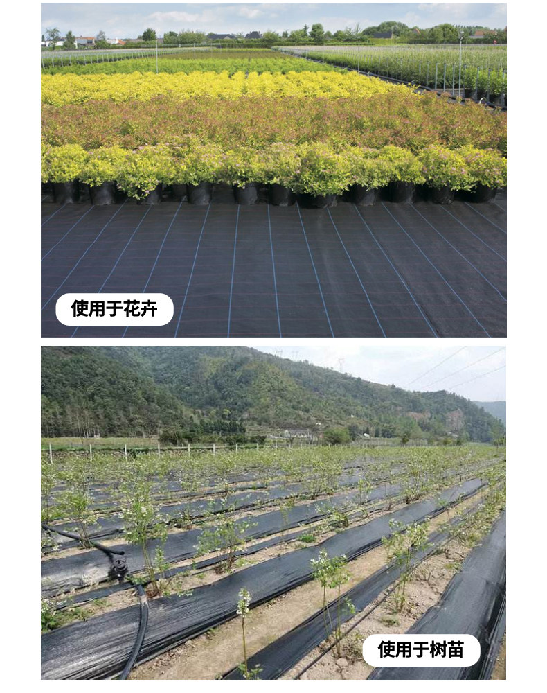 防草布全新PE抗老化农用除草布果园果树盖草园艺地布片透气保湿