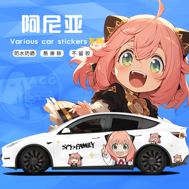阿尼亚+全车型适配+pvc膜+定制