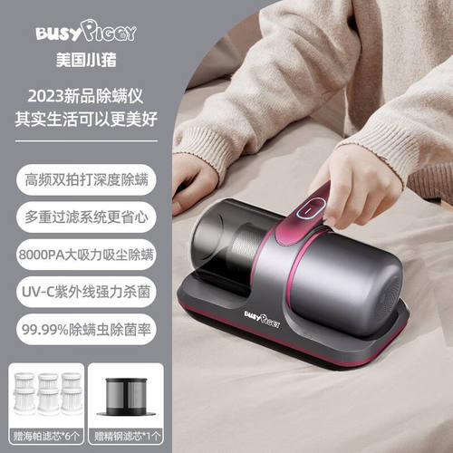 比赛小猪（BUSYPIGGY）比赛小猪除螨仪除螨神器除螨床上吸尘器家