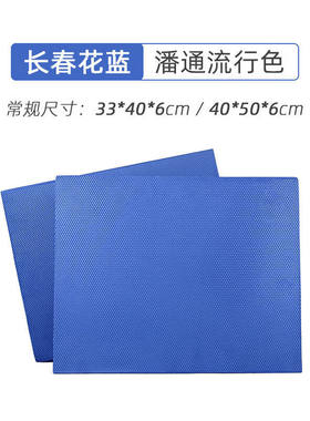 钢颜健腹轮跪垫平衡垫加厚健身垫TPE高回弹脚踝训练瑜伽垫长春花