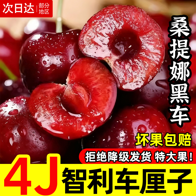 智利桑提娜车厘子孕妇5J樱桃五斤吉制时令新鲜水果礼盒装包邮进口