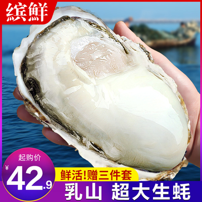 缤鲜鲜活乳山特大生蚝鲜活海蛎子