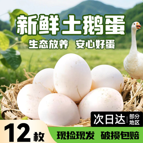 正宗精品土鹅蛋农家散养新鲜