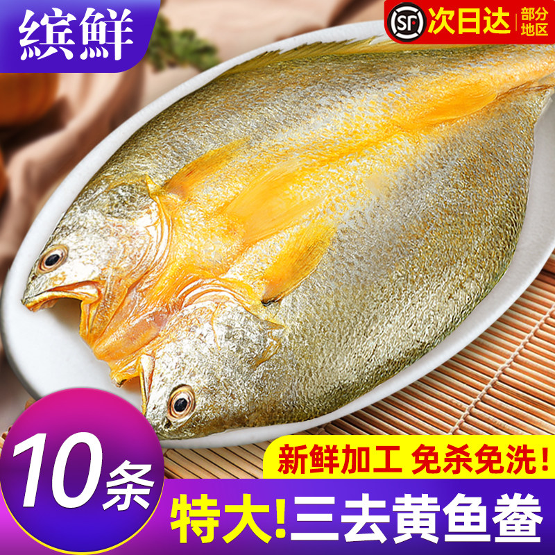 黄鱼鲞新鲜冷冻大黄鱼黄花鱼三去生鲜宁德小黄鱼海鲜海鱼商用批发 - 实物图