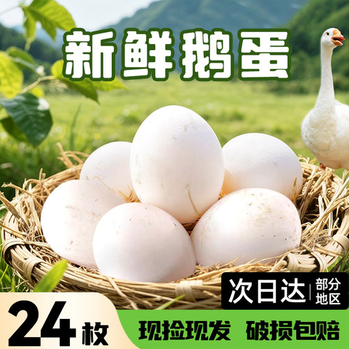 正宗精品鹅蛋农家新鲜