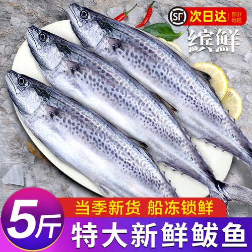马鲛鱼鲜活整条香煎胶大包邮