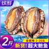 新鲜鲍鱼鲜活超大海鲜水产生鲜活特大加热即食干小鲍鱼捞汁饭批发