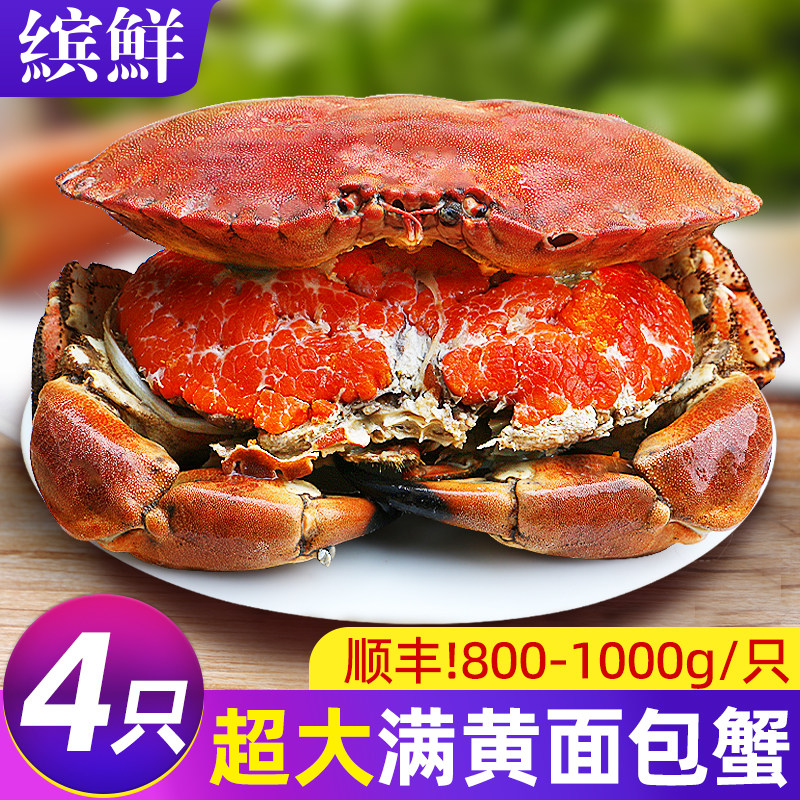 超大面包蟹满黄4只装!
