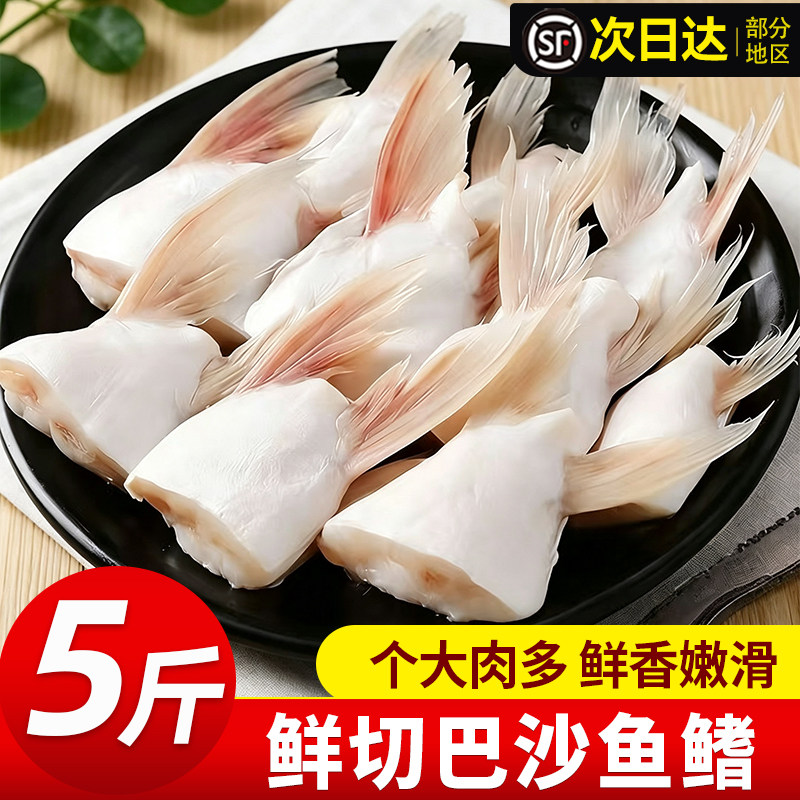 巴沙鱼新鲜冷冻鱼翅肥油鲜嫩鱼鳍新鲜翅鮰鱼鳍鱼腩安康鱼烧烤商用
