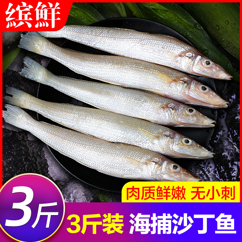 沙丁鱼新鲜冷冻沙尖鲜活海捕整箱