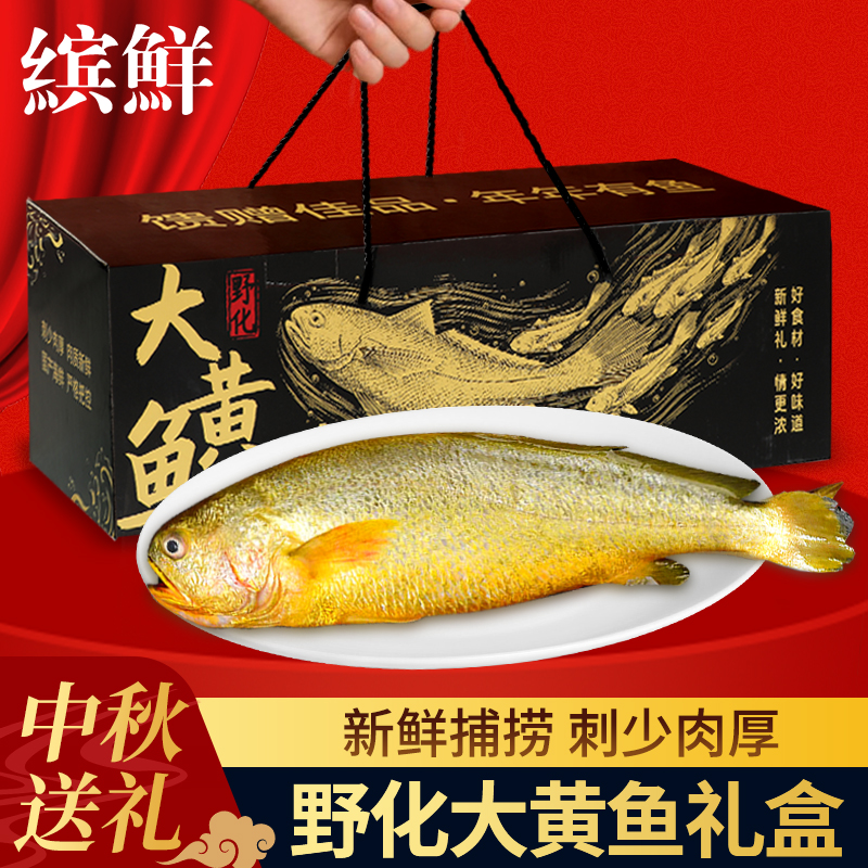 礼盒装野化大黄鱼！新货超新鲜