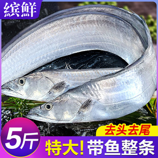 东海带鱼整条新鲜冷冻带鱼段小眼刀鱼鲜活海鲜5斤特大海鱼整箱10