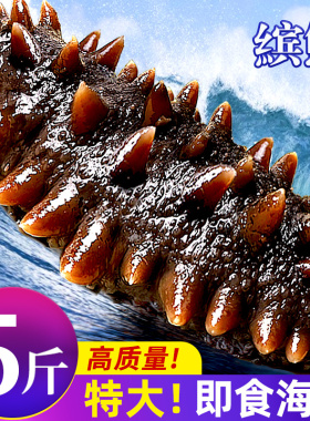 海参即食鲜活鲜食辽刺参干货大海生叁孕妇刺参礼盒500g特价连个装