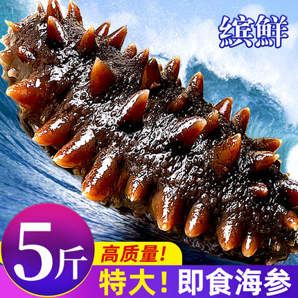 海参即食鲜活鲜食辽刺参淡干货大海生叁孕妇刺参礼盒500g特价袋装