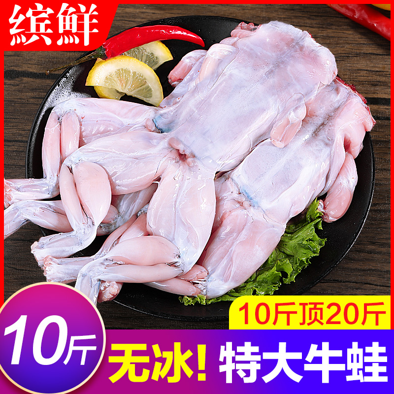 牛蛙鲜活新鲜特大田鸡蛙肉半成品牛蛙腿牛蛙肉冷冻商用石蛙批发10使用感如何?