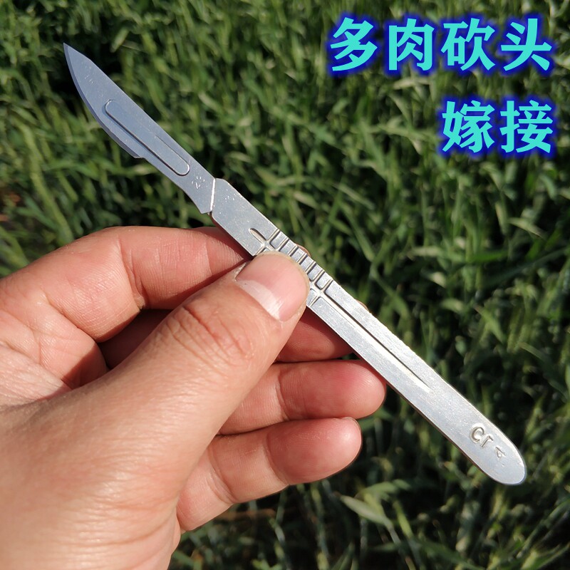 多肉砍头刀片嫁接刀芽接刀月季植物嫁结架结专用套装园艺工具肉肉