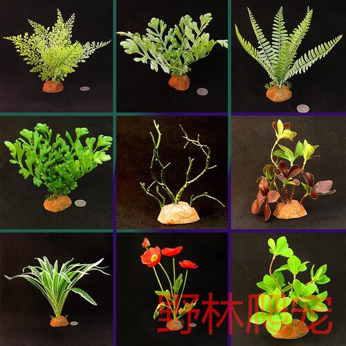 爬宠箱攀爬仿真绿植造景