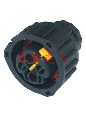 DJ73022Y-2.5-21 汽车接插件连接器配端堵 线束插头 车用插件