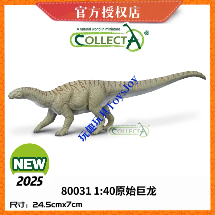 [2025新品]英国CollectA恐龙生动物模型玩具80031 1:40 原始巨龙图片
