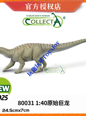 [2025新品]英国CollectA恐龙生动物模型玩具80031 1:40 原始巨龙