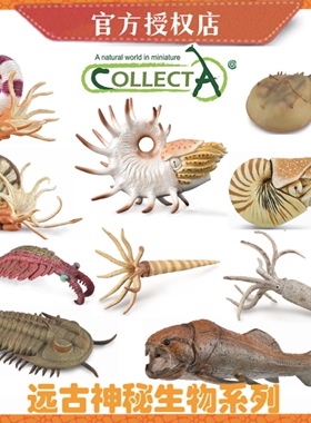 [远古神秘生物合集]Collecta史前生物模型 恐龙生物古兽模型摆件