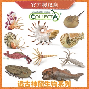 [远古神秘生物合集]Collecta史前生物模型 恐龙生物古兽模型摆件