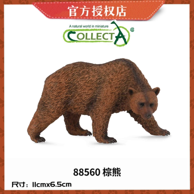 英国CollectA我你他野生动物模型玩具88560棕熊88698美洲黑熊袋熊