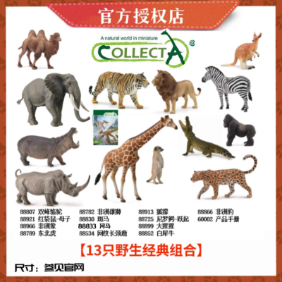 省心组合早教动物模型CollectA