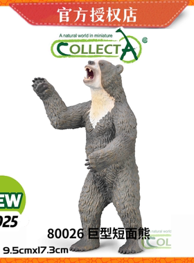 [2025新品]英国CollectA我你他野生动物模型玩具80026巨型短面熊