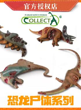 [恐龙尸体合集]CollectA仿真史前生物玩具 恐龙尸体模型 场景配件