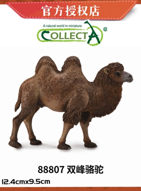 英国CollectA我你他仿真野生动物模型88807双峰骆驼88208单峰骆驼