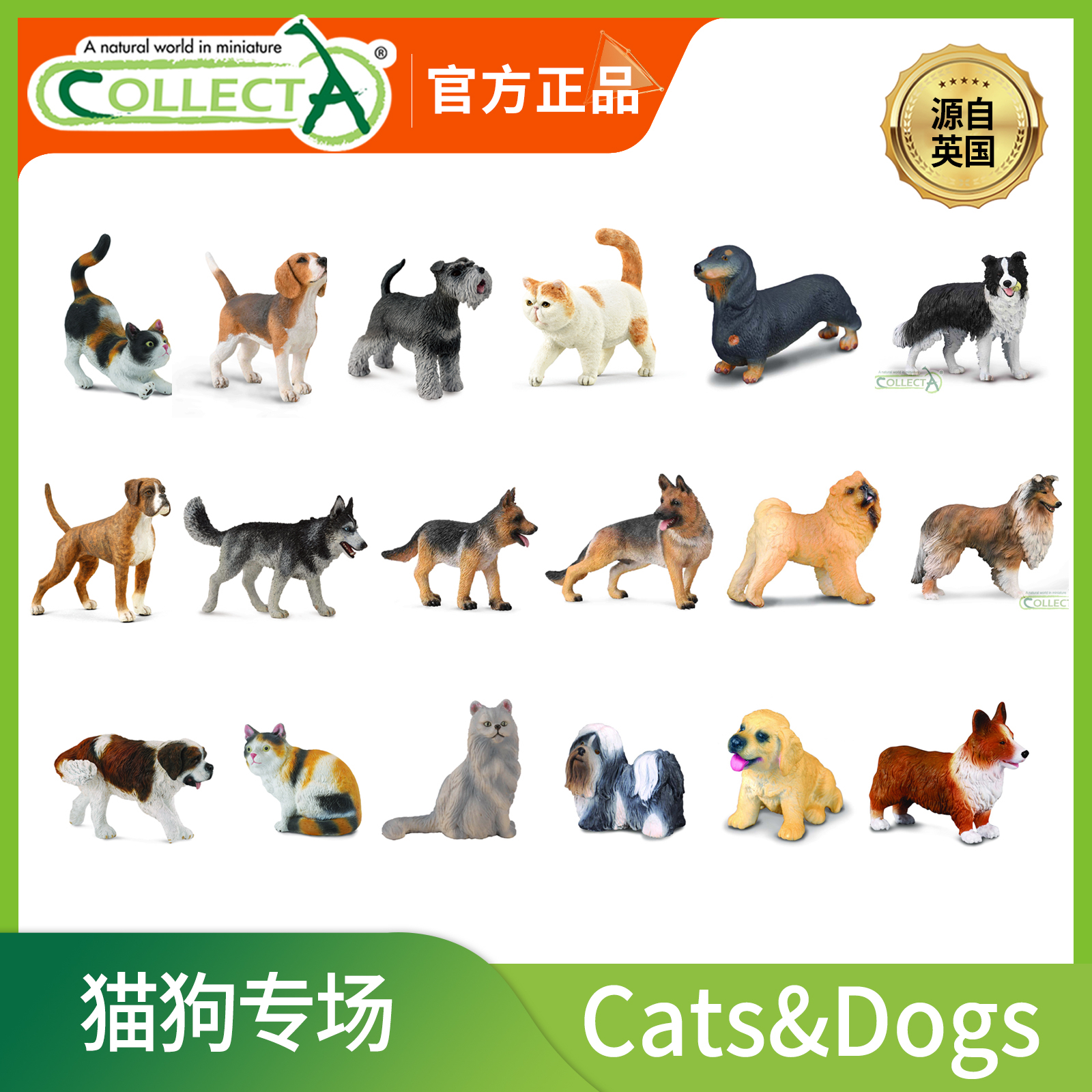 [猫狗专场]CollectA仿真动物模型 小猫小狗 牧羊犬儿认知玩具礼物