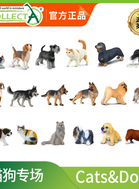 [猫狗系列合集]CollectA仿真动物模型 小猫小狗 牧羊犬儿认知玩具