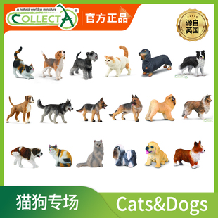 [猫狗系列合集]CollectA仿真动物模型 小猫小狗 牧羊犬儿认知玩具