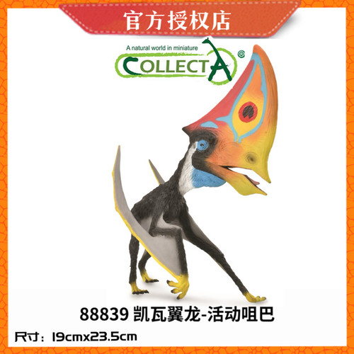 翼龙系列无齿飞爬翼龙模型