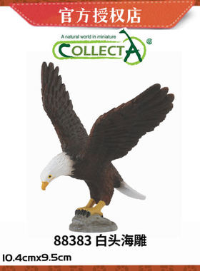 英国CollectA我你他野生动物模型玩具88383 白头海雕