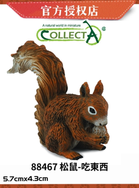 英国CollectA我你他仿真野生动物模型玩具88467 松鼠-吃东西