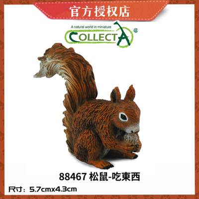 英国CollectA我你他仿真野生动物模型玩具88467 松鼠-吃东西