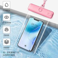 Порошок сакура [260 -градусная 360 -градусная фотография в глубине 360 -дегри.