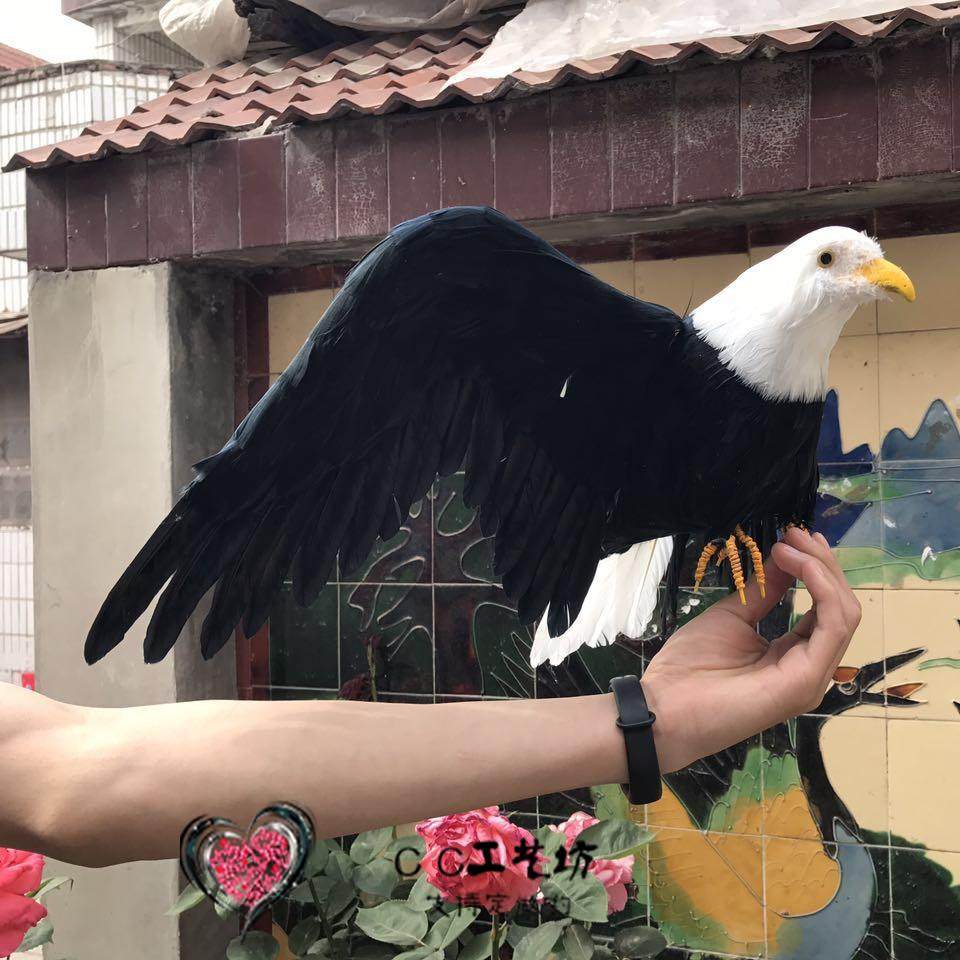 仿真羽毛老鹰cosplay园林影视拍摄道具金雕模型驱鸟鹰银灰丹老鹰