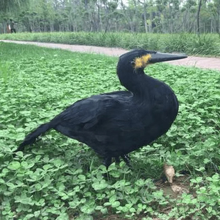 仿真羽毛鸬鹚摆件鱼鹰模型景区船坞装饰教学摄影道具工艺品