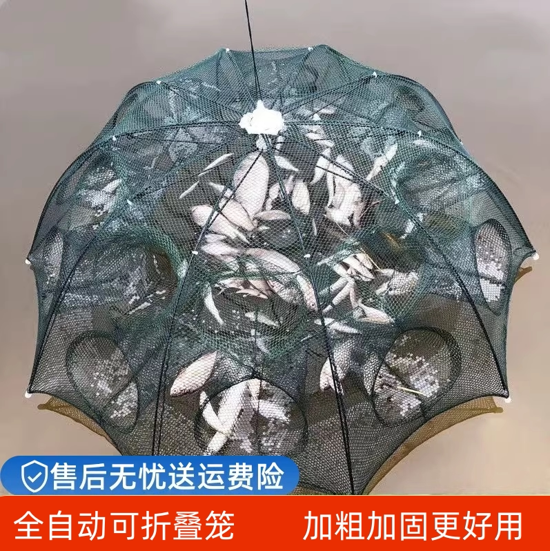 加大伞网捕鱼笼只进不出黄鳝龙虾网虾笼折叠捕虾网鱼网渔网笼神器