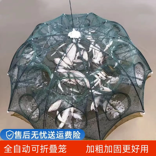 加大伞网捕鱼笼只进不出黄鳝龙虾网虾笼折叠捕虾网鱼网渔网笼神器