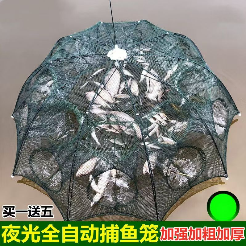 加大伞网捕鱼笼只进不出黄鳝龙虾网虾笼折叠捕虾网鱼网渔网笼神器